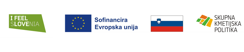 LOGO GP2